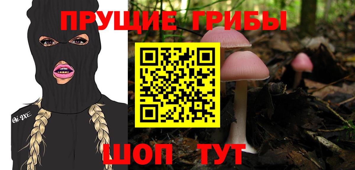 Галлюциногенные грибы MAGIC MUSHROOMS Моздок