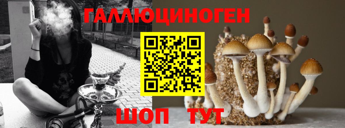 Моздок  Галлюциногенные грибы ЛСД  Вход с VPN 